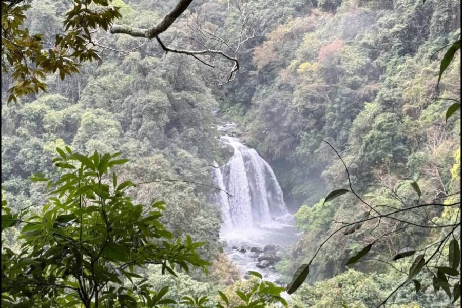 觀霧民宿．森悅雲海民宿